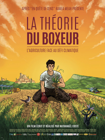 Affiche du film La Théorie du Boxeur